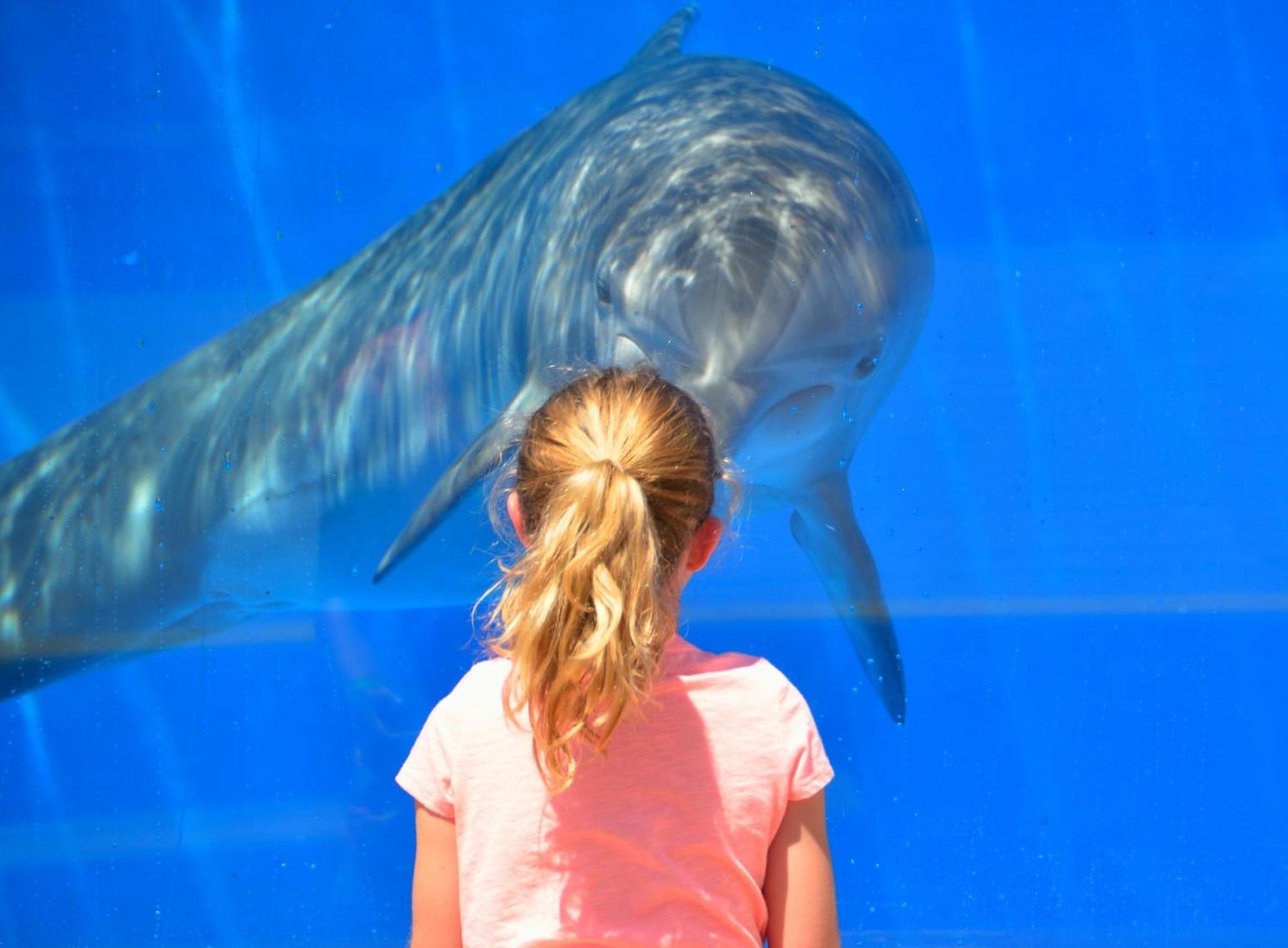 Staybridge Suites - Long Beach Airport, An Ihg Hotel エクステリア 写真